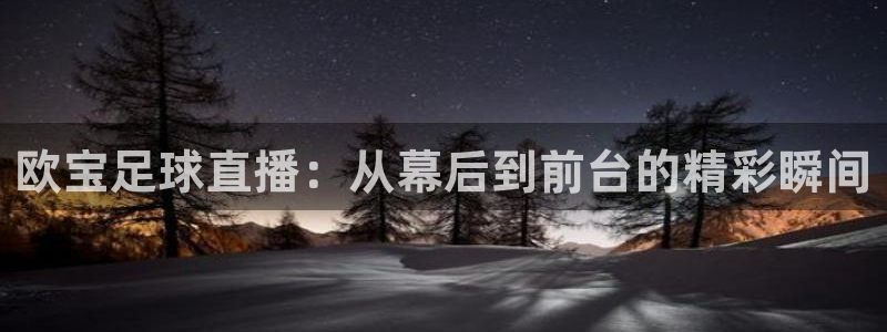 欧宝足球直播：从幕后到前台的精彩瞬间