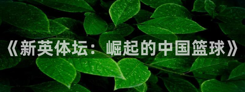 新闻图片